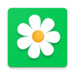 flor2u: заказ, доставка цветов android application logo